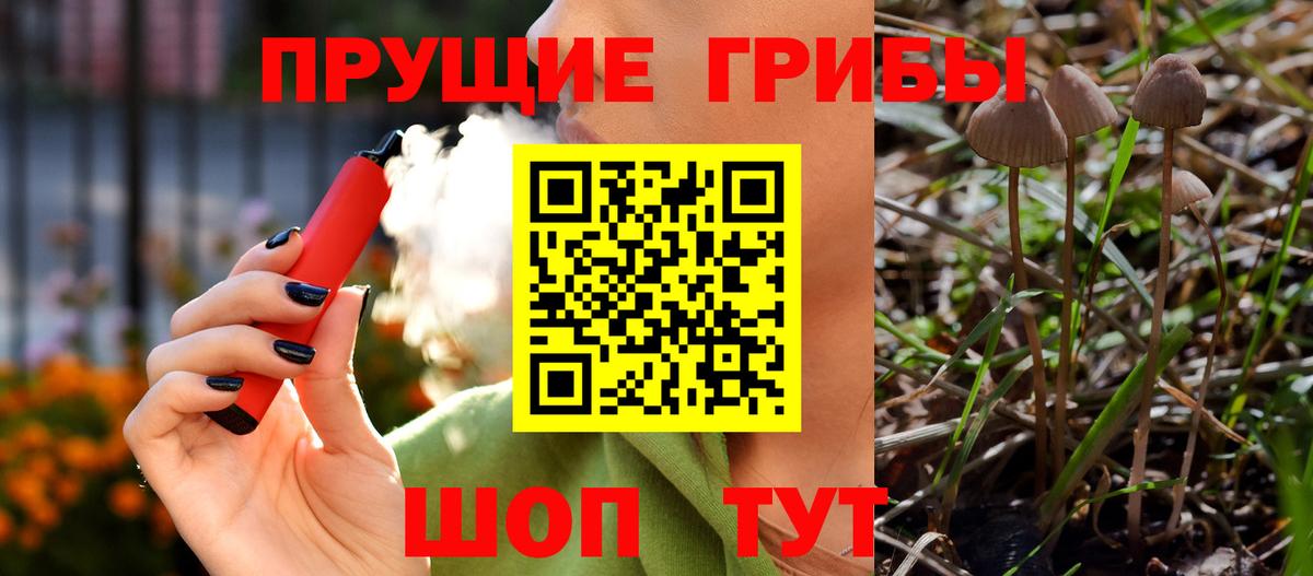 Лениногорск  Галлюциногенные грибы GOLDEN TEACHER  Псилоцибиновые грибы прущие грибы  Вход с VPN 